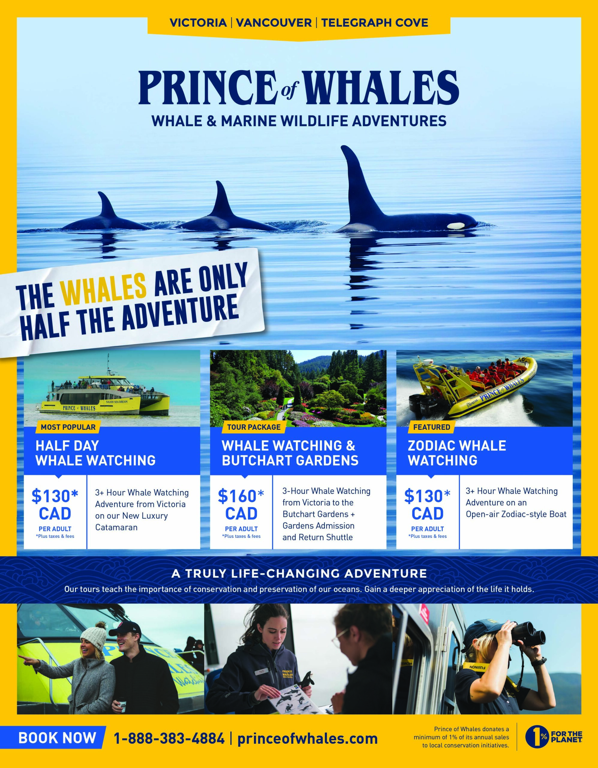 PrinceWhales Harbour Cats - Gateway_PQ_FULL
